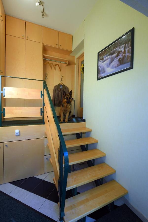 Ferienappartement Regina Schrems  Extérieur photo